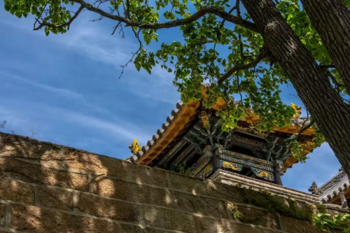 区文明安全旅游倡议书冰球突破千山风景名胜(图6)